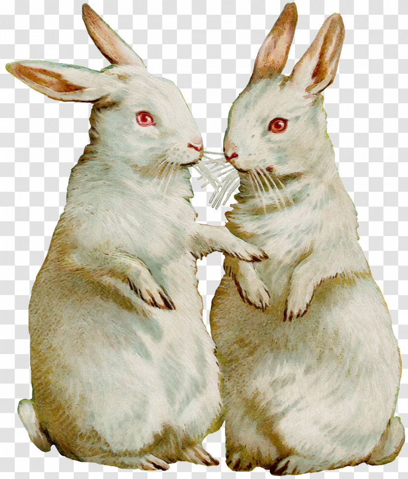 Easter Bunny Transparent PNG