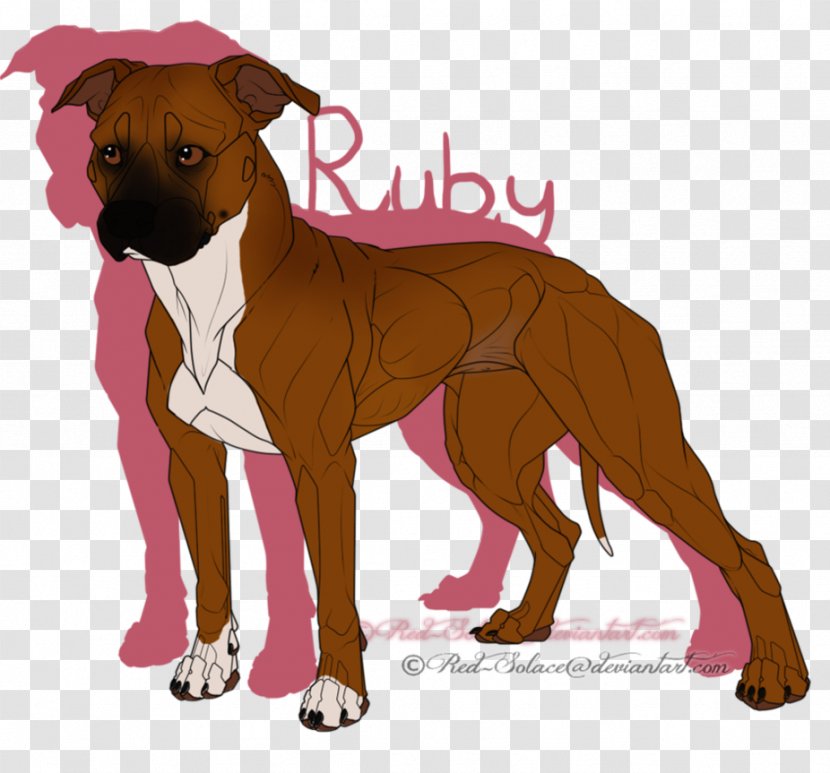 Dog Breed Boxer Snout Crossbreed - Staffordshire Bull Terrier Transparent PNG