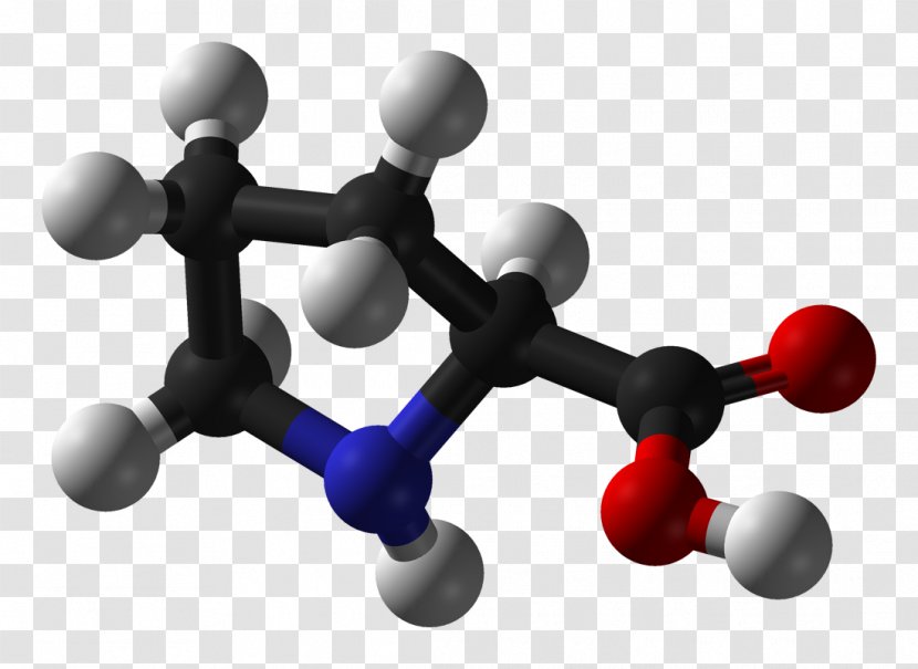 Proline Amino Acid Carboxylic Amine Protein - Molecule - L Transparent PNG