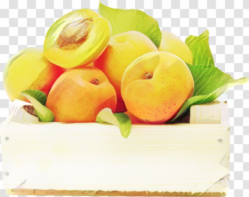 Vegetable Cartoon - Apricot - Nectarine Transparent PNG
