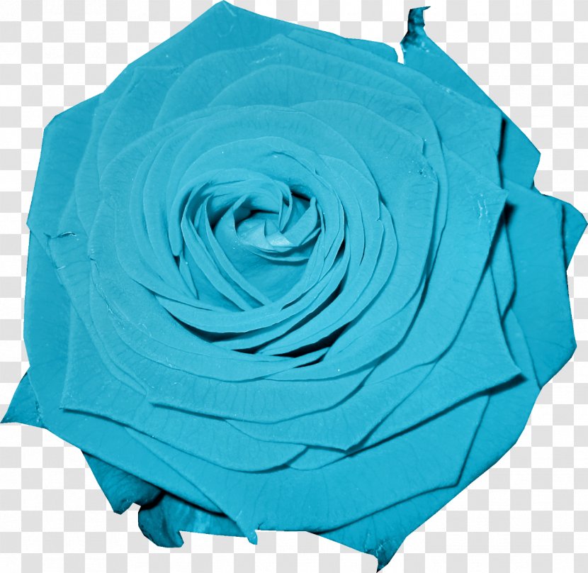 Garden Roses Flower Clip Art - Blue Rose - Mint Transparent PNG