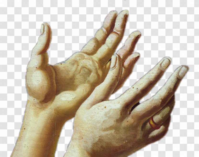 Thumb Hand Model Organism La Bohème Transparent PNG