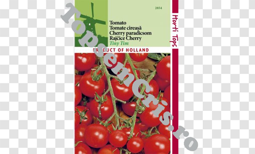 Cherry Tomato Bush Food - Fruit Transparent PNG