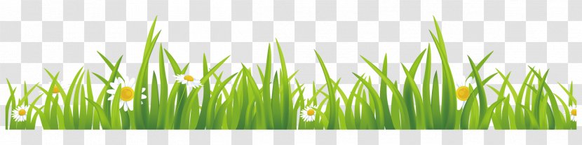 Green GRASS GIS Euclidean Vector - Grass Family Transparent PNG