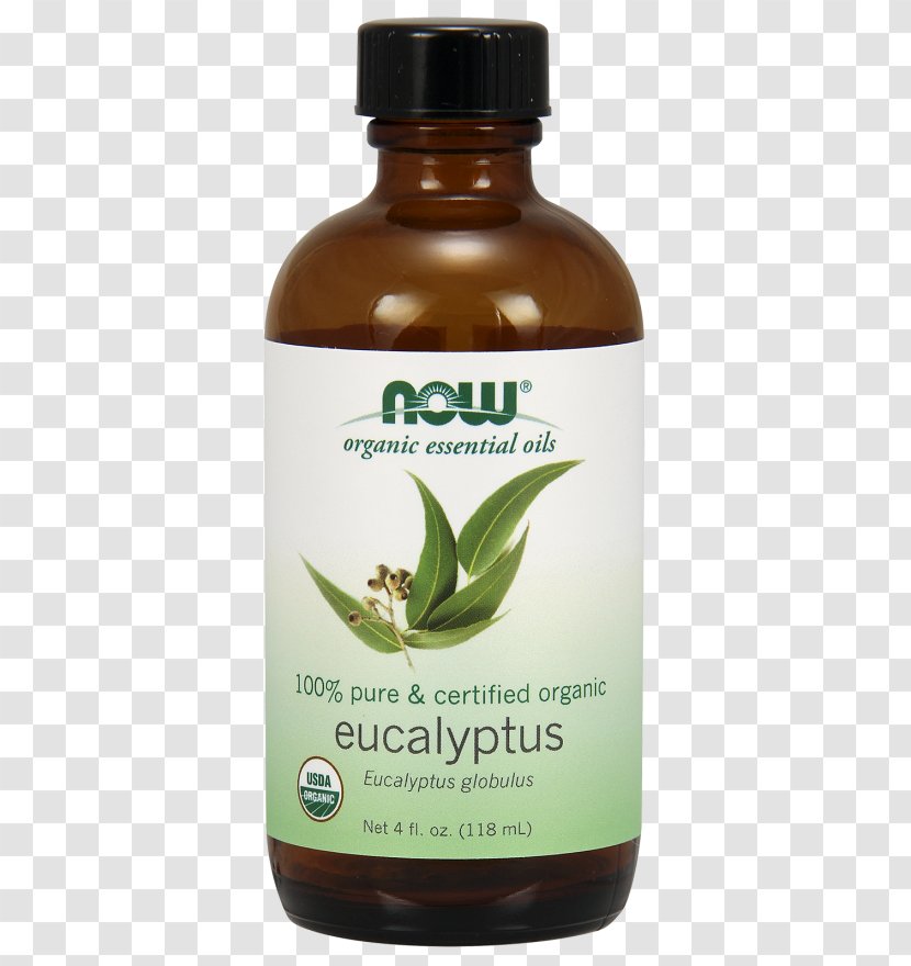 Eucalyptus Oil Tasmanian Blue Gum Essential Food - Flavor Transparent PNG