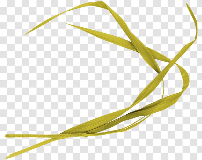 Leaf Commodity Product Design Plant Stem Line - Leaves Clipart Transparent PNG