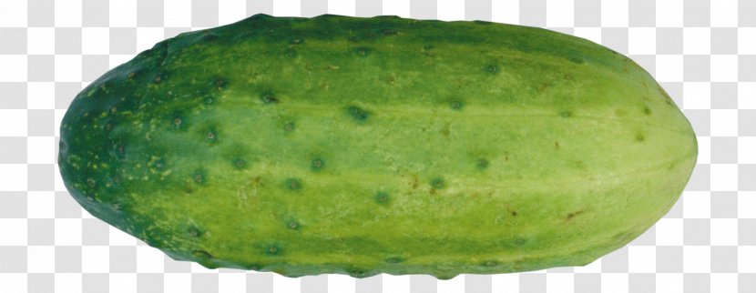Watermelon Pickled Cucumber Wax Gourd - Vegetable Transparent PNG