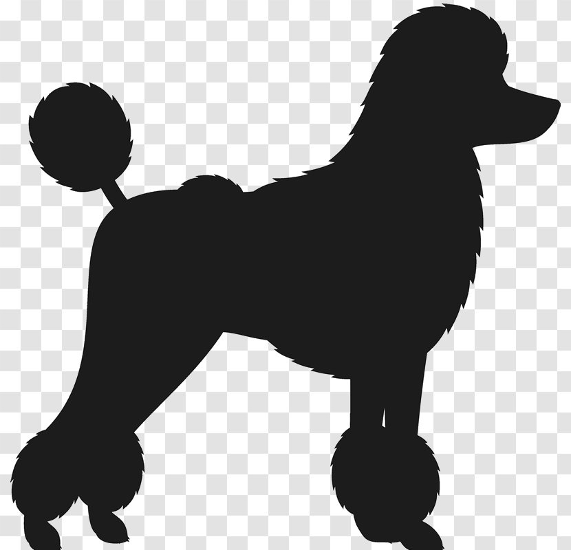 Dog Breed Toy Poodle Standard Dachshund - Puppy Transparent PNG
