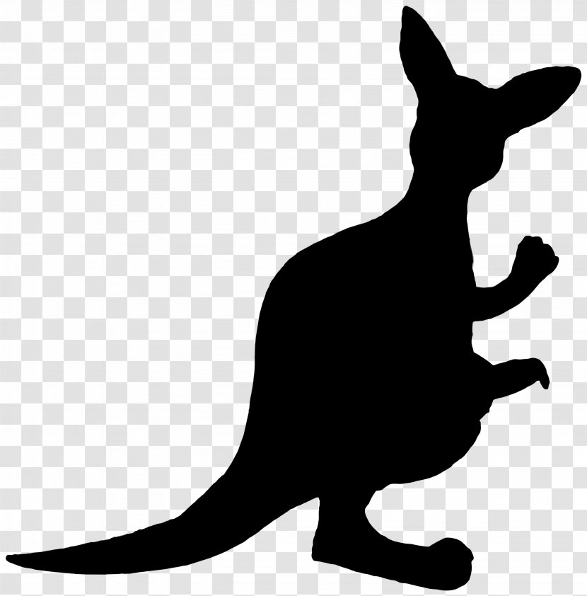 Whiskers Cat Clip Art Kangaroo Fauna - Black M Transparent PNG