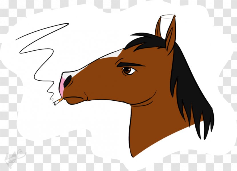 Mane Foal Mustang Halter Colt - Head Transparent PNG