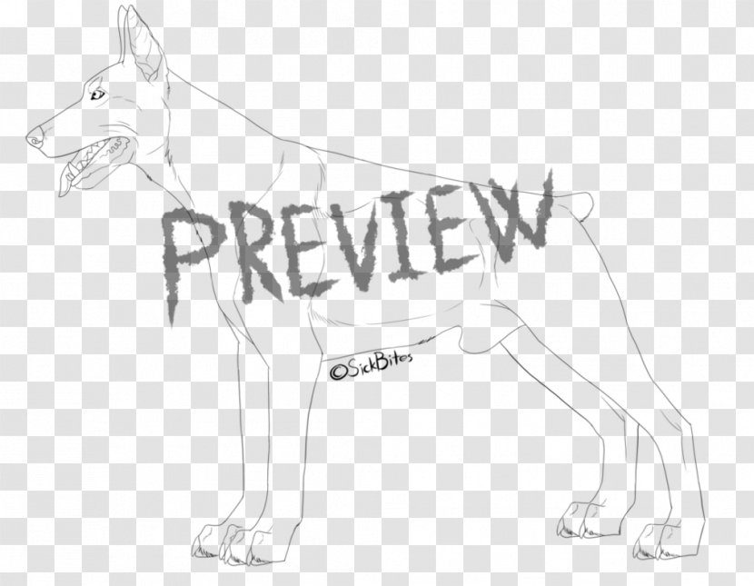 Dog Breed Line Art Snout Sketch Transparent PNG