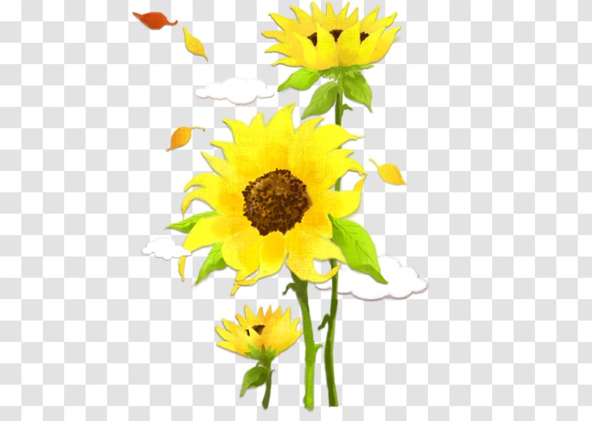 Poster - Plant - Sunflower Transparent PNG