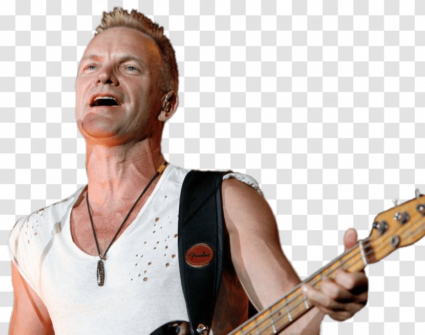 The Very Best Of Sting & Police Musician - Flower - Guitarist Transparent PNG