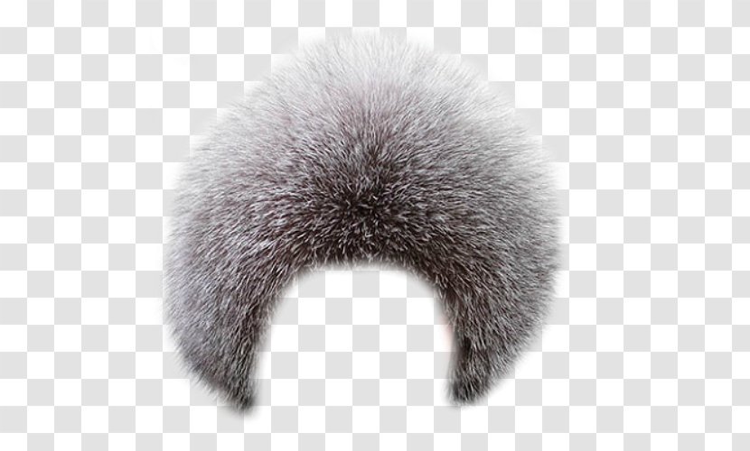 Wig Cap Fur Clothing Hair - Pixlr Transparent PNG