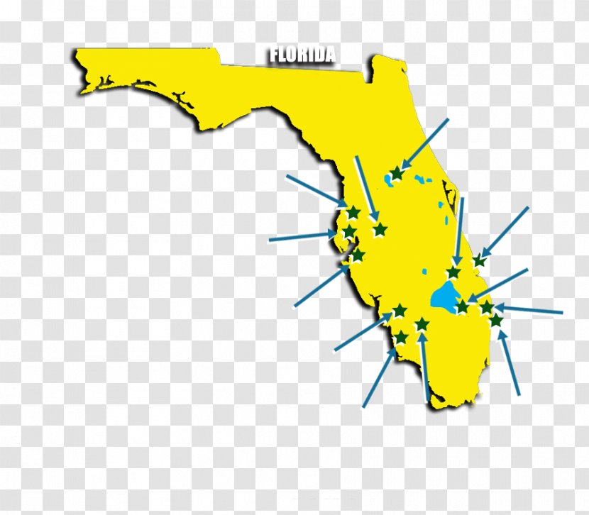 Everglades Miami Metropolitan Area Map Clip Art Transparent PNG