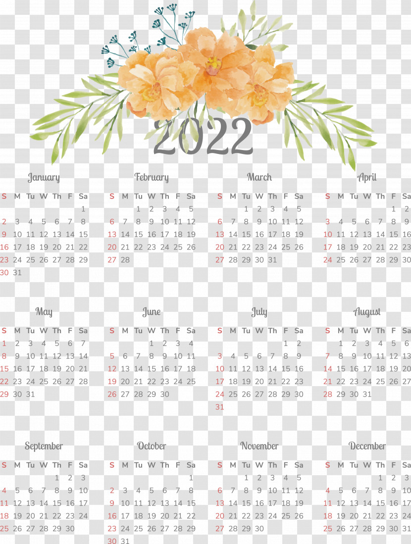 Floral Design Transparent PNG