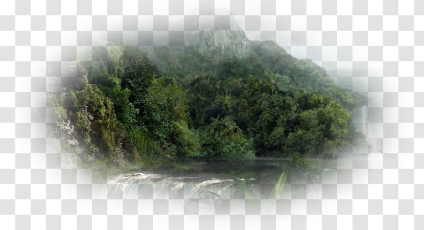 Water Resources Vegetation Nature Story Hill Station Natural Resource - Poster - Jungle Transparent PNG