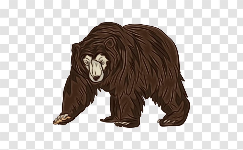 Grizzly Bear Brown Animal Figure Sloth - Fictional Character - American Black Transparent PNG