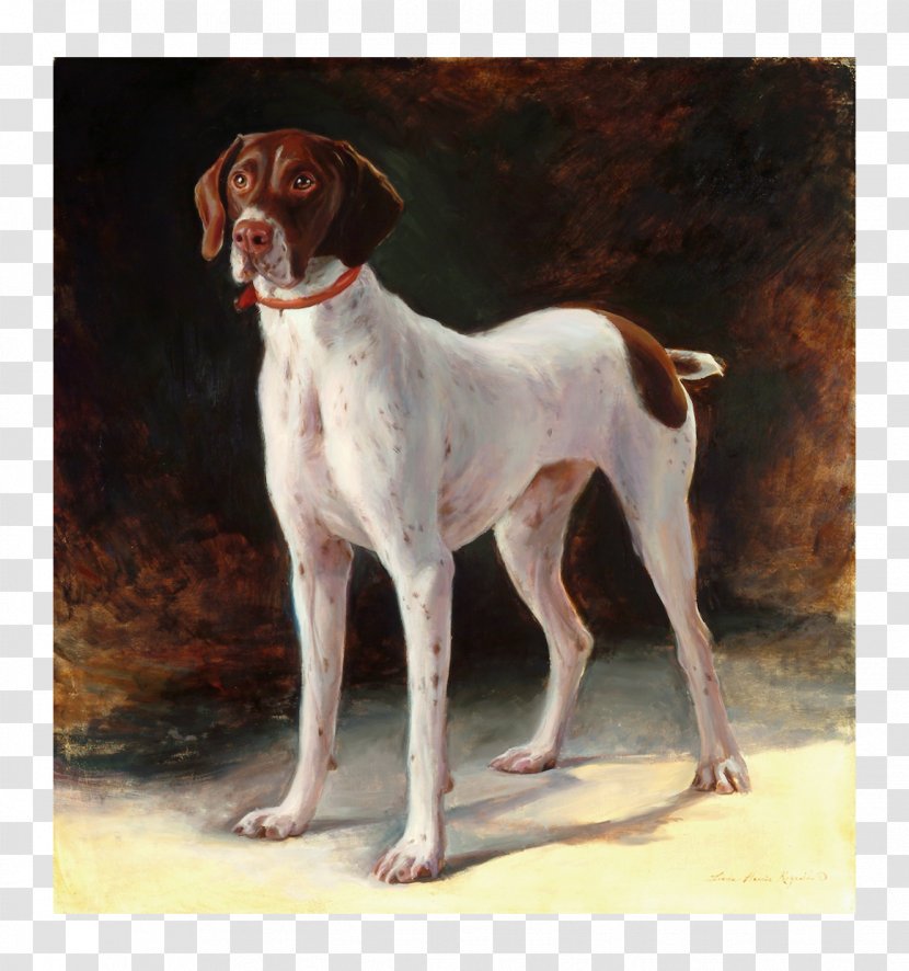 Old Danish Pointer Braque Saint-Germain American Foxhound English - Treeing Walker Coonhound - Painting Transparent PNG