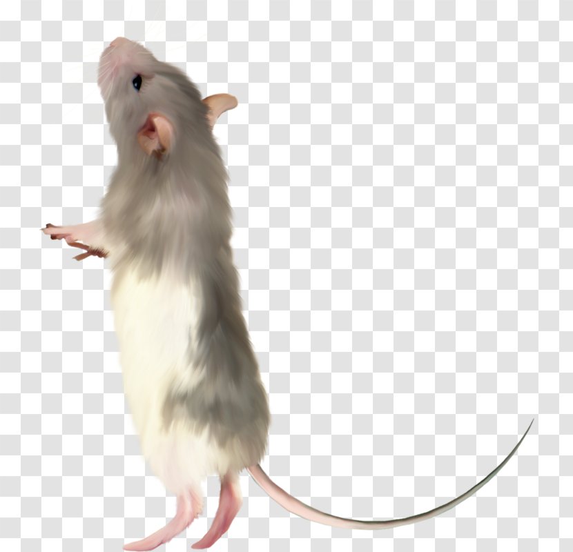 Computer Mouse Pointer - Hamster Transparent PNG