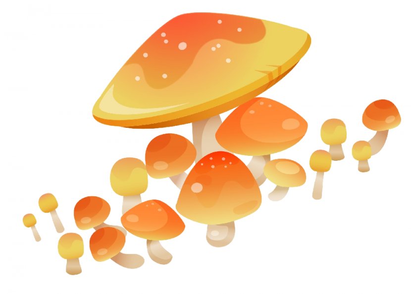 Mushroom Drawing Fungus Agaricus Image - Food Transparent PNG