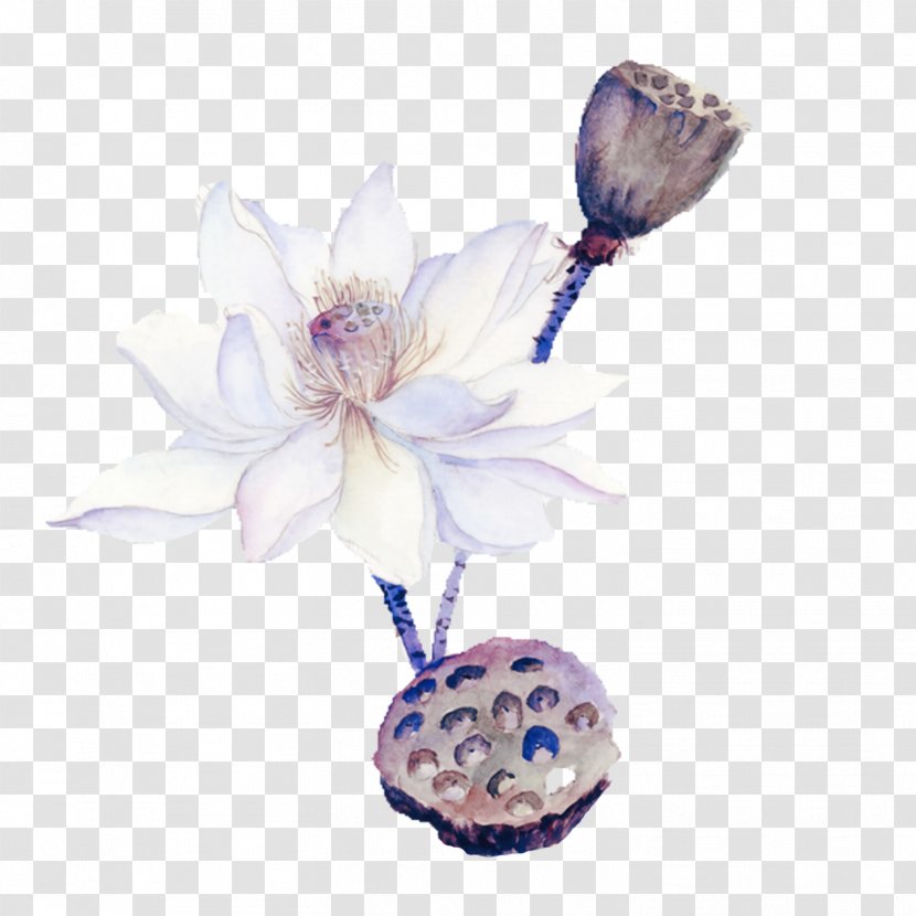Nelumbo Nucifera Download - Ink Wash Painting - Lotus Flower Material Transparent PNG