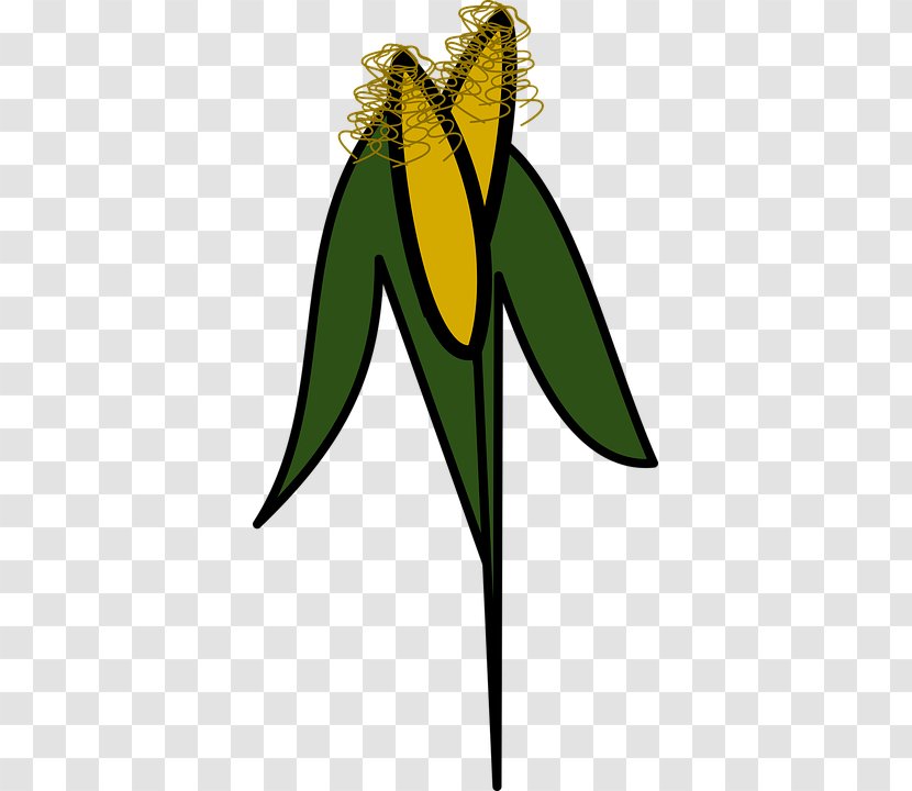 Maize Agriculture Clip Art - Corn Clipart Transparent PNG