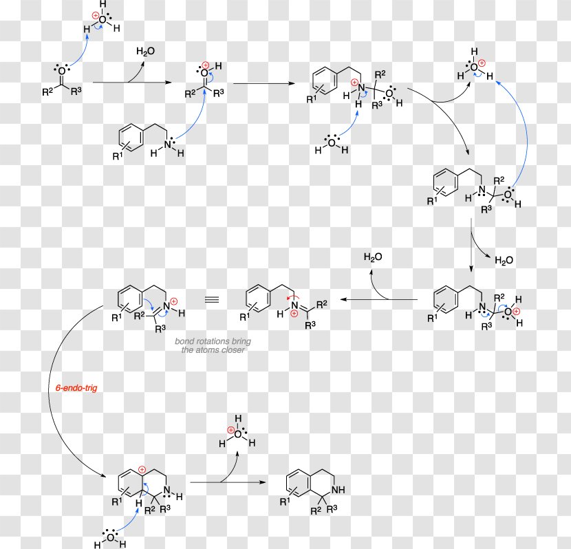 Pictet–Spengler Reaction Isoquinoline Organic Chemistry Chemical Synthesis - Biginelli Transparent PNG