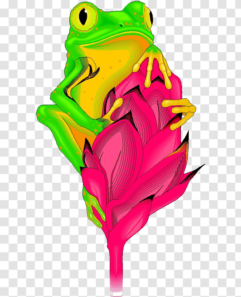 Tree Frog True Clip Art - Ranidae Transparent PNG