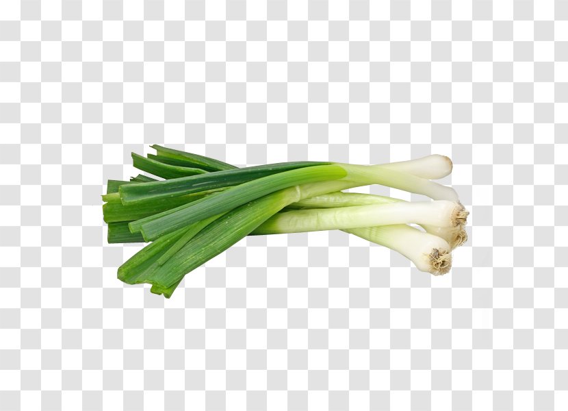 Onion Ghormeh Sabzi Garlic Scallion Leek Transparent PNG