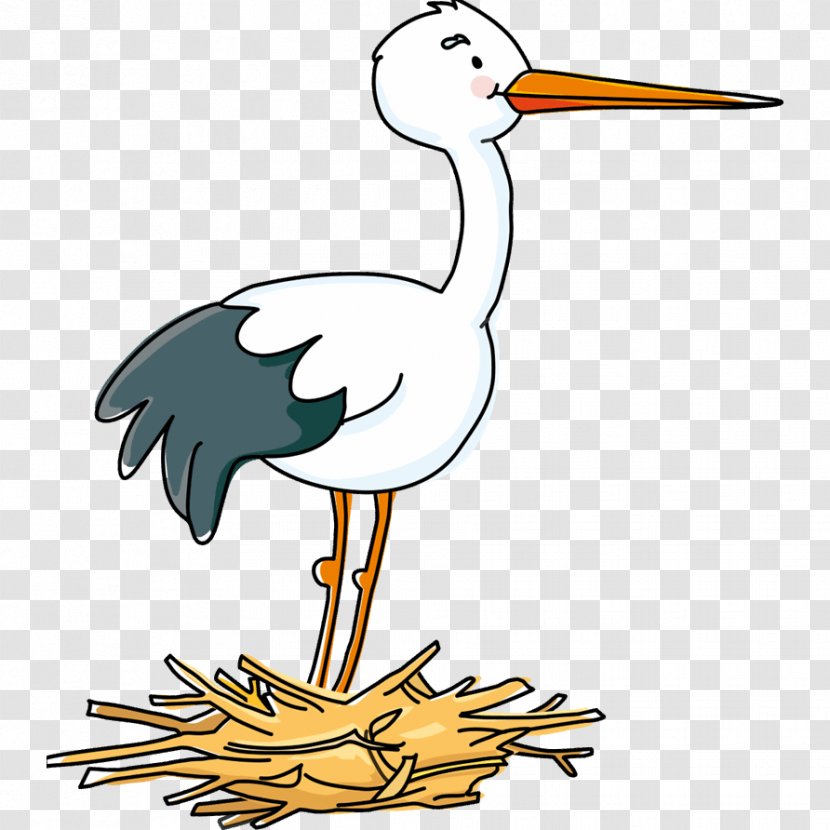 Stork Animal Kid Coloring Pages Bird Drawing Clip Art - Water Transparent PNG