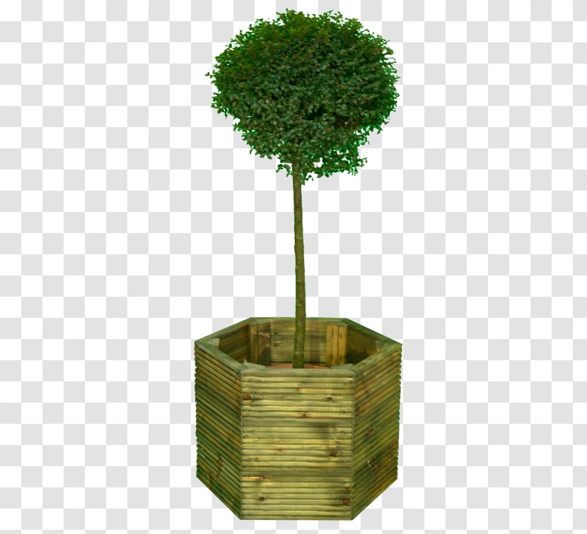 Deck Lumber Tree Wood Preservation Joist - Large Plant Pot Transparent PNG