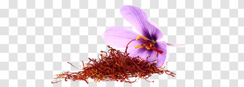Saffron Mulled Wine Paella Spanish Cuisine Iranian - Bulb - Flower Transparent PNG