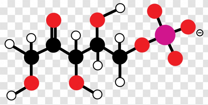 Ribulose 1,5-bisphosphate RuBisCO Calvin Cycle Cellular Respiration - Red - Carbon Dioxide Transparent PNG