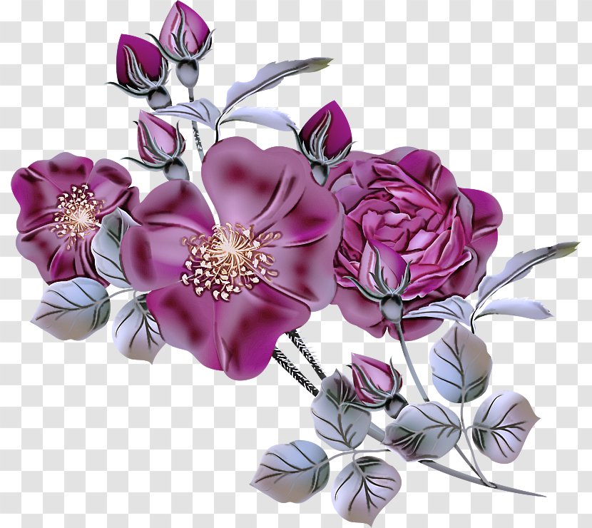 Flower Purple Cut Flowers Petal Violet - Flowering Plant Lilac Transparent PNG