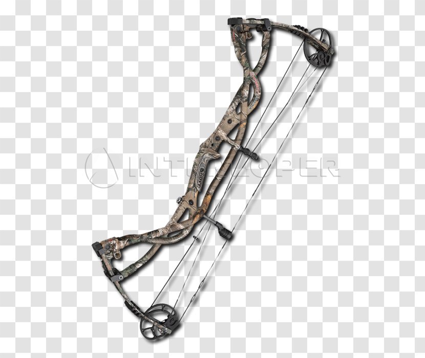 Compound Bows Hunting Crossbow Ranged Weapon - Bow Transparent PNG