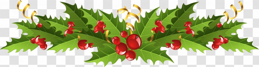 Mistletoe Christmas Decoration Clip Art - Twig - Cliparts Transparent Transparent PNG