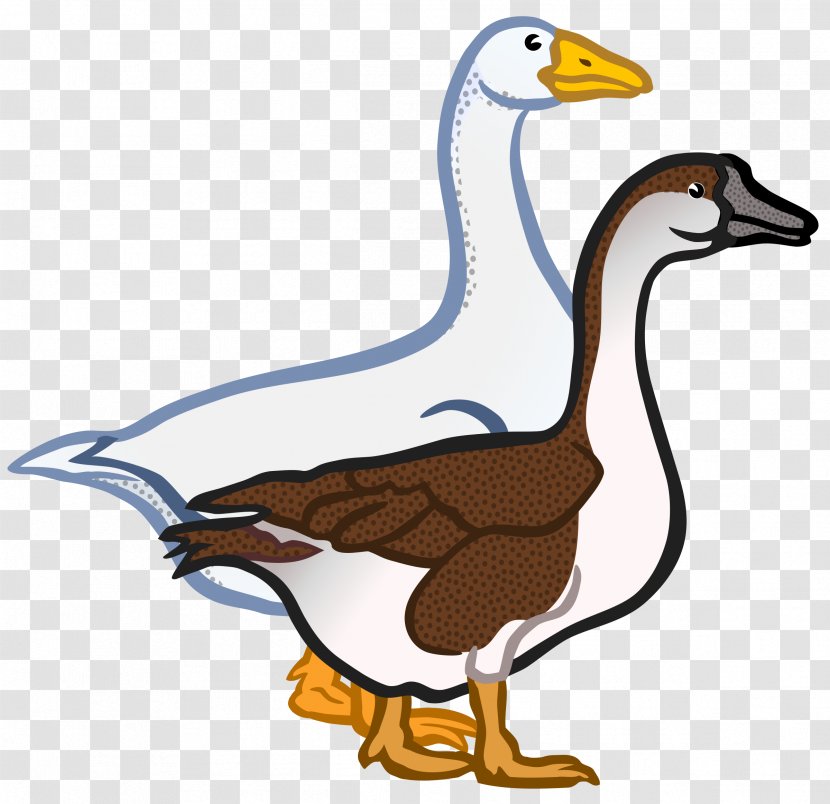 Goose Duck Clip Art - Livestock Transparent PNG