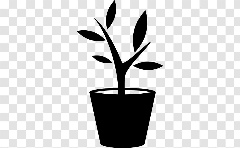 Flowerpot Plant Garden - Houseplant - Growing Transparent PNG