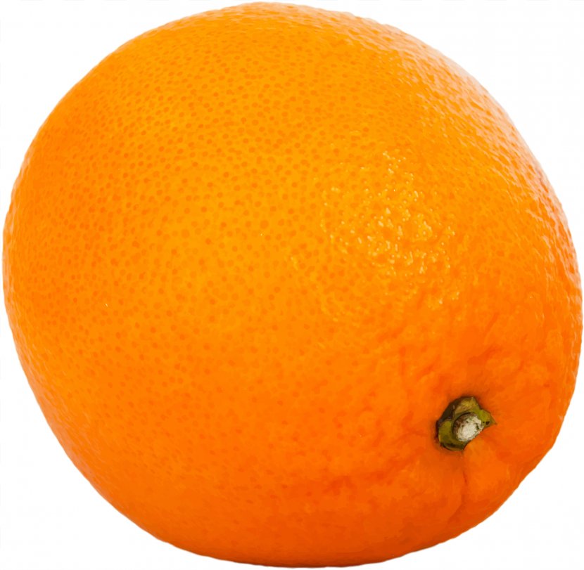 Mandarin Orange Tangerine Tangelo Clementine - Fruit Transparent PNG