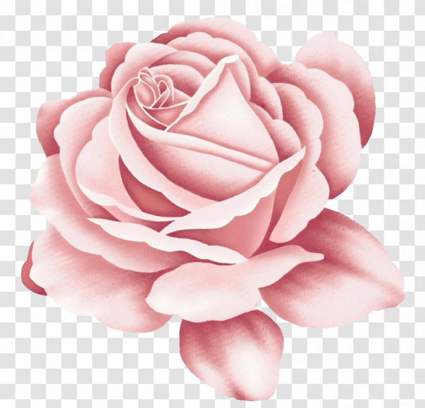 Rose Tattoo Pink - Flowering Plant Transparent PNG