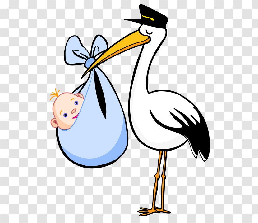 Infant Clip Art - Water Bird - Wing Transparent PNG