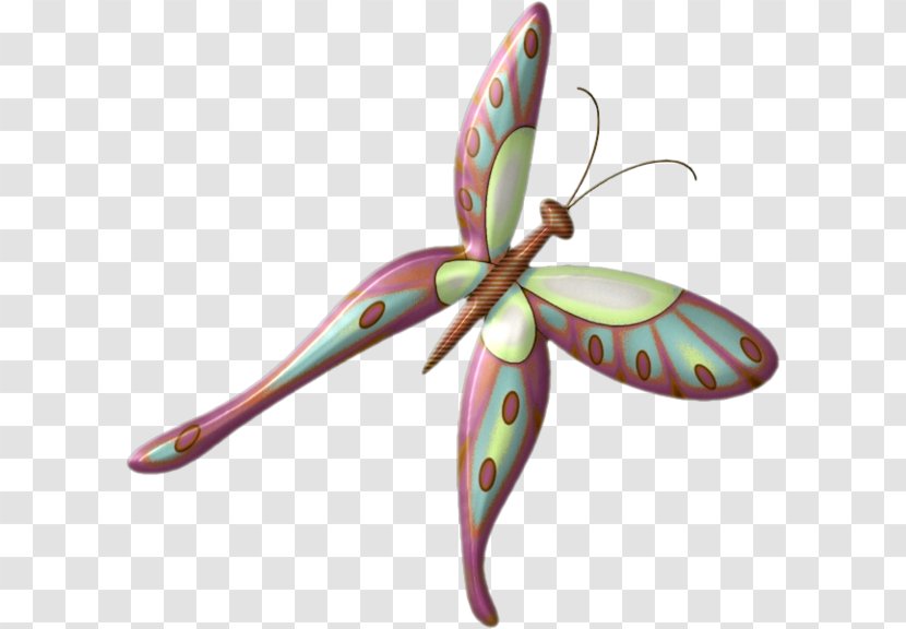 Butterfly Clip Art - Moon Transparent PNG