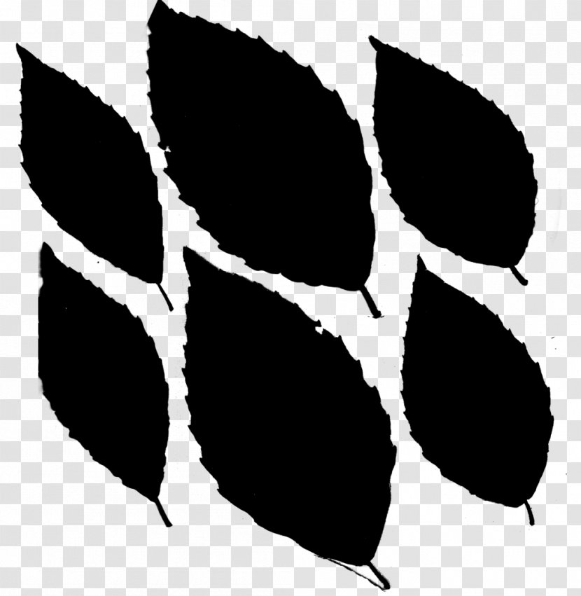 Leaf Pattern Font Line Silhouette - Tree - Flower Transparent PNG