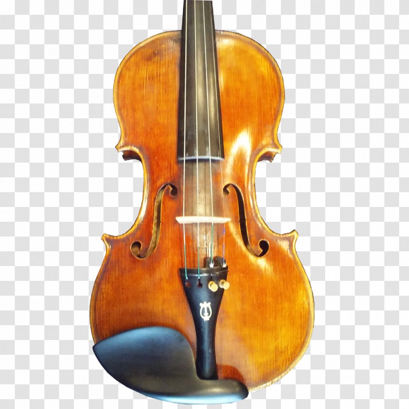 Bass Violin Violone Viola Cello - Frame Transparent PNG