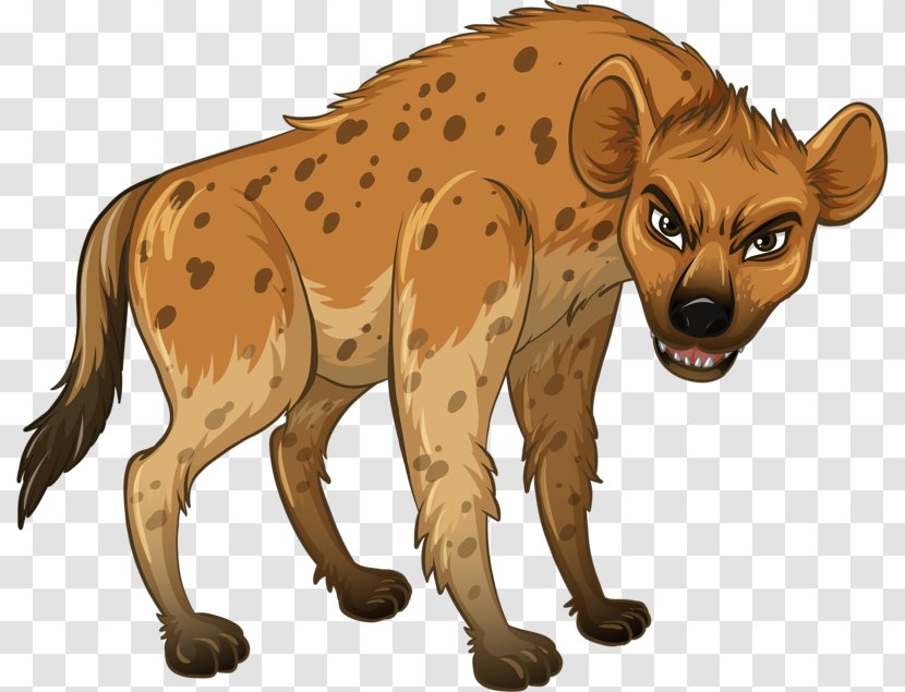 Hyena Wildlife Illustration - Big Cats - Ferocious Wolf Transparent PNG