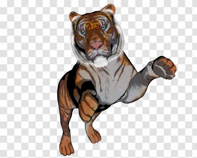 Tiger Aggression Wildlife Snout Animal - Mammal Transparent PNG