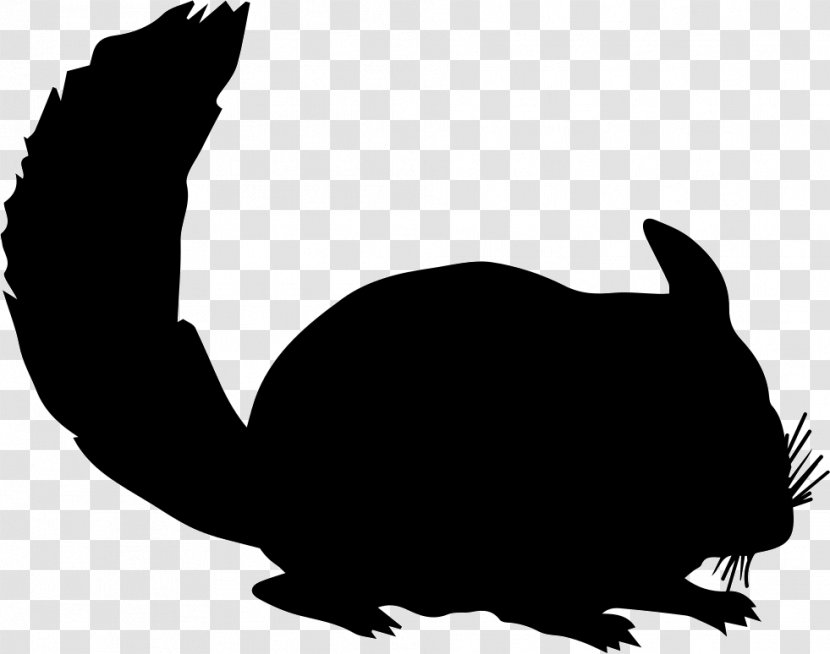 Chinchilla Silhouette Rodent Rex Rabbit - Carnivoran Transparent PNG