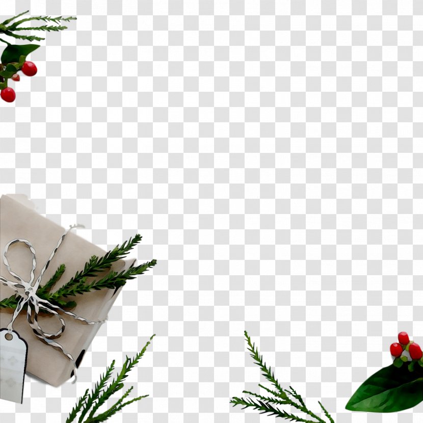 Christmas Day Card Holiday Stock Photography New Year - Gift Transparent PNG