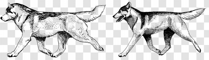 Dog Breed Drawing Line Art Sketch - Character Transparent PNG